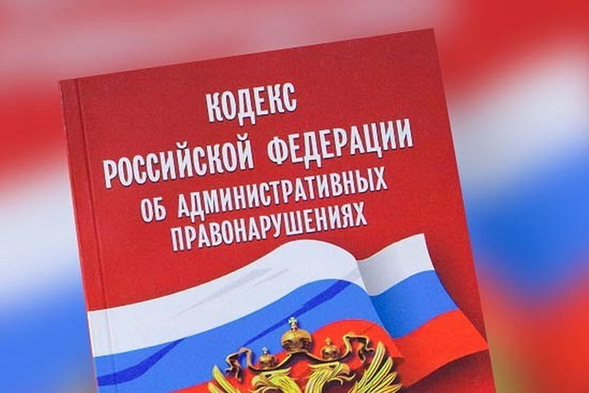 Уважаемые родители! Обратите внимание с 11.08.2025 года вступили в законную силу внесенные изменения в статью 5.35 Кодекса РФ об АП