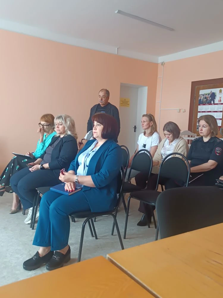 Рабочая группа областной КДН и ЗП оказала методическую помощь комиссиям Земетчинского и Наровчатского районов
