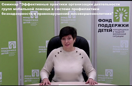 Представители областной комиссии приняли участие во Всероссийском семинаре "Эффективные практики организации деятельности групп мобильной помощи"