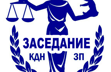 В Правительстве Пензенской области состоялось заседание Комиссии по делам несовершеннолетних и защите их прав по допуску судимых граждан к педагогической деятельности