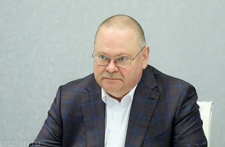 По инициативе губернатора в Пензенской области заработала служба «социальная няня»